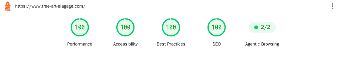 Rapport Lighthouse du 17 octobre 2026 sur ordinateur : tree-art-elagage.com à 100 en performance, accessibilité, bonnes pratiques et SEO
